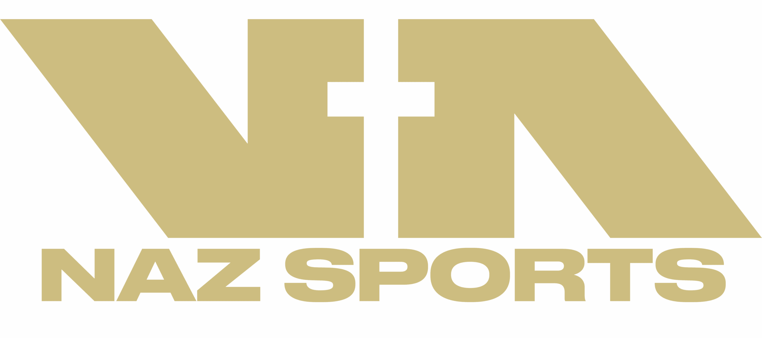 Logo-naz-brown